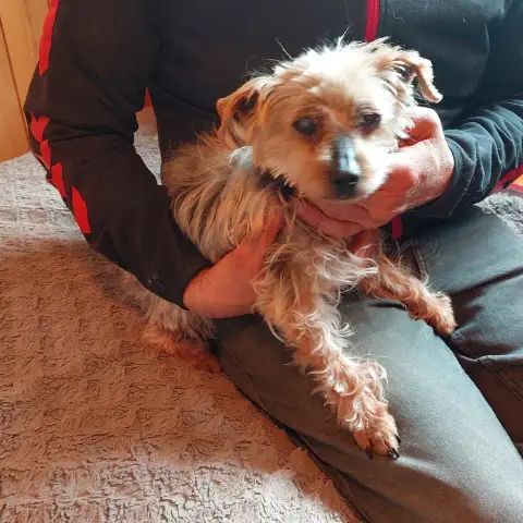 Minnie