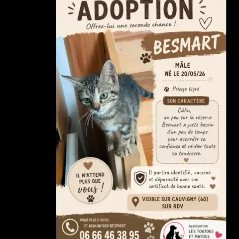Besmart