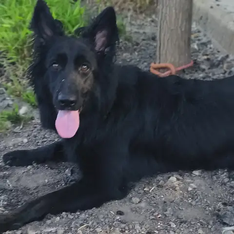 Ella photo 3