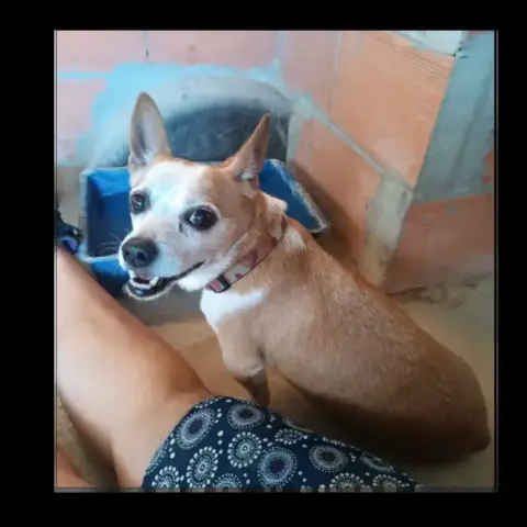 Atun photo 2