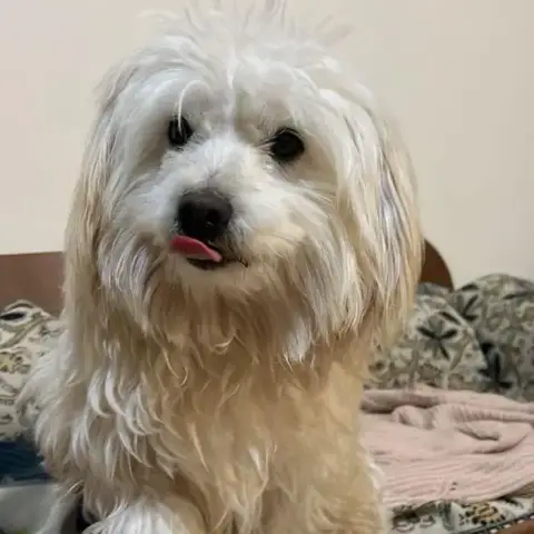 Nash