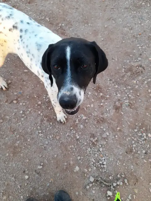 Mili photo 3