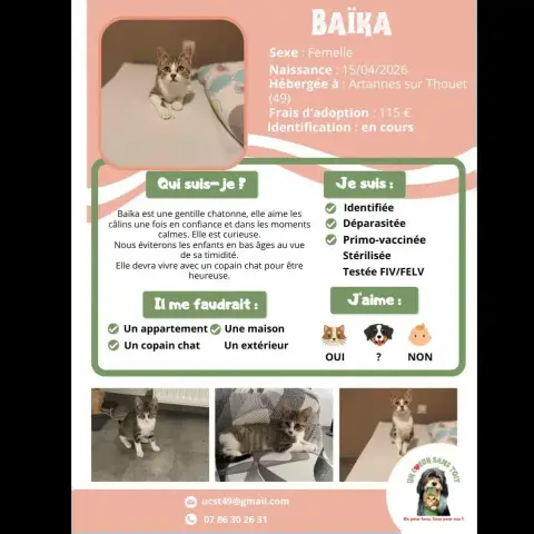 Baïka