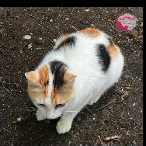 Vénus photo 3