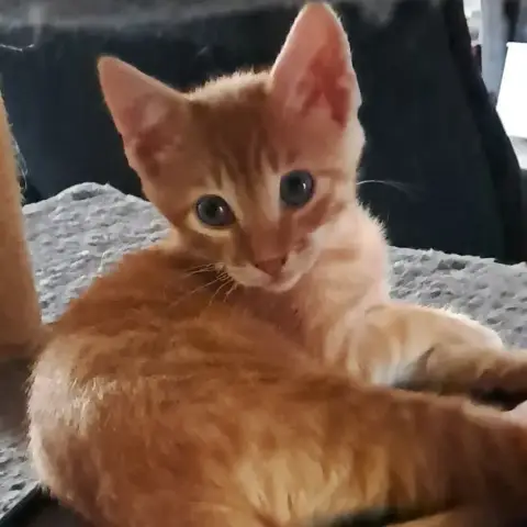 Billy