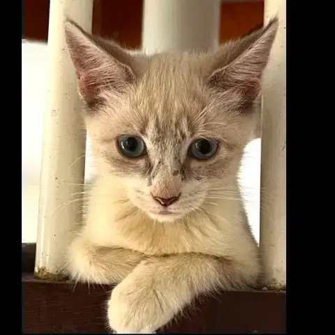 Marie