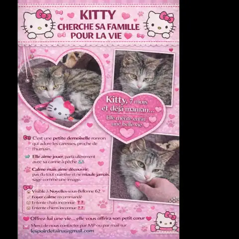 Kitty