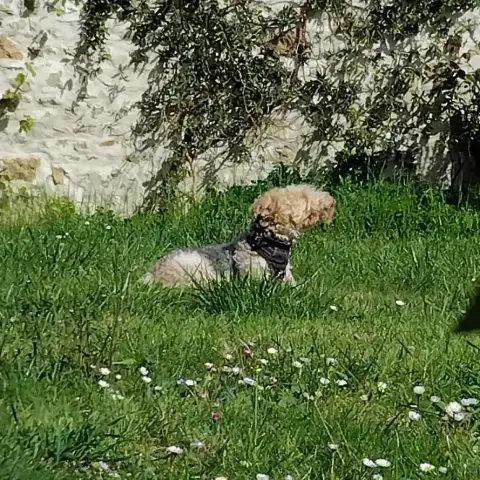 Lucky photo 3