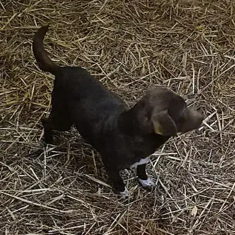Chloe photo 2