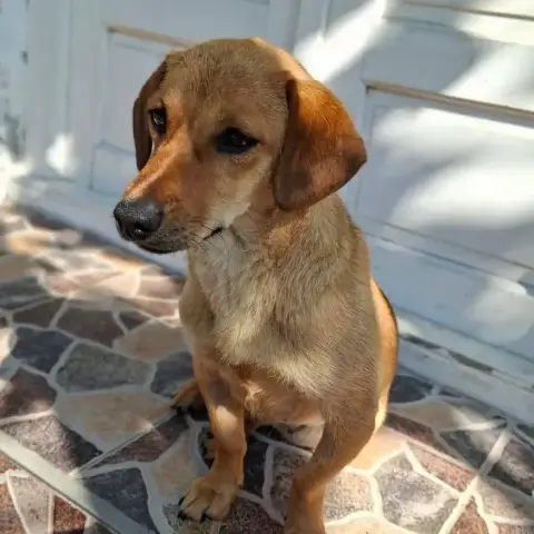 Kirabelle