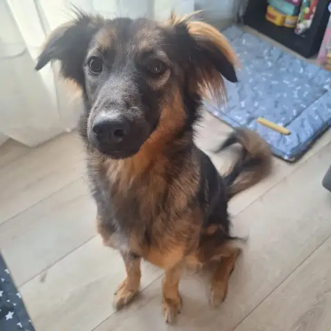 Kira