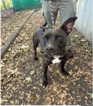 Bobine photo 2