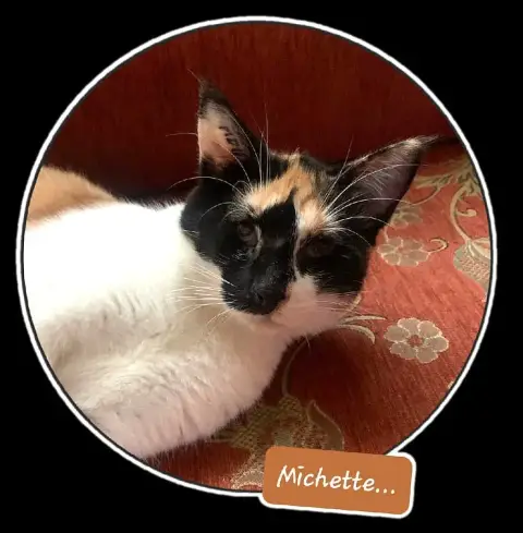 Michette