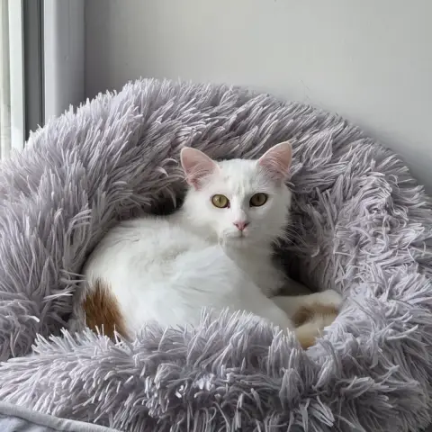 Alaska