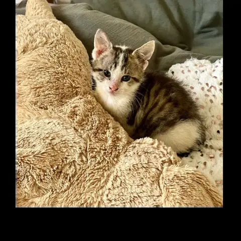 Billie