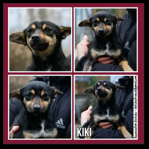 Kiki