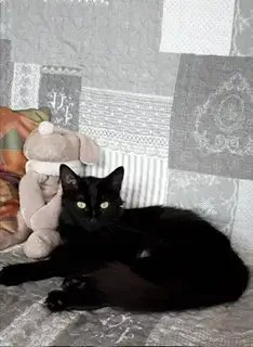 Maya photo 2