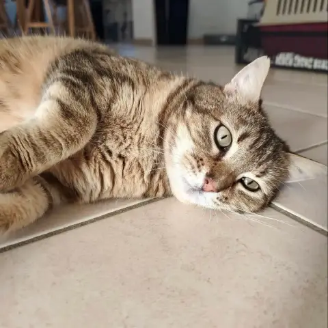 Gigi photo 3