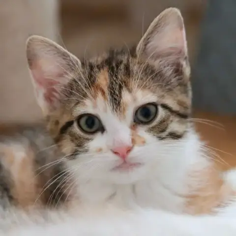 Pénélope photo 2