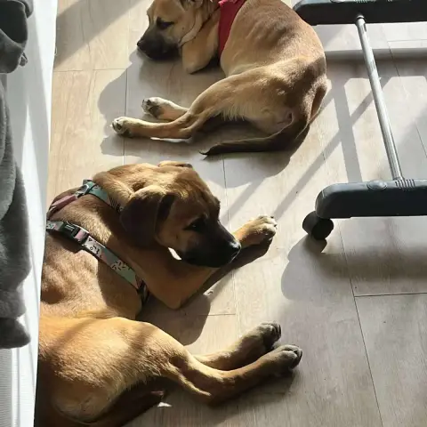 Marley Et Haiko photo 2