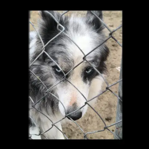 Otto photo 3