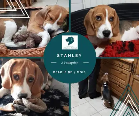 Stanley