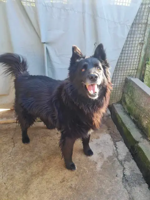 Jack