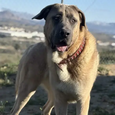 Zeus photo 3