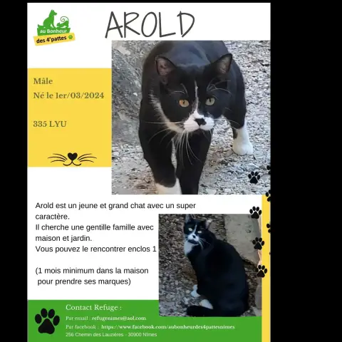 Arold