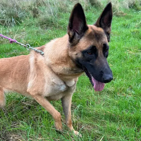 Bella