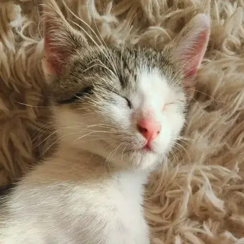 Jim