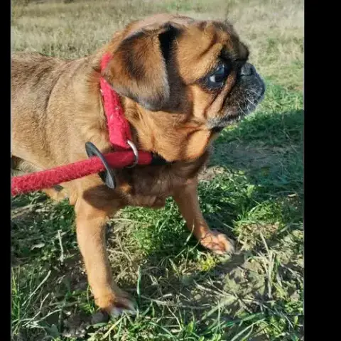 Molly photo 2