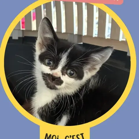 Charlie