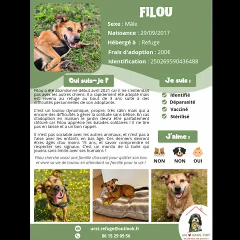 Filou