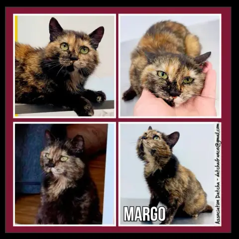 Margo