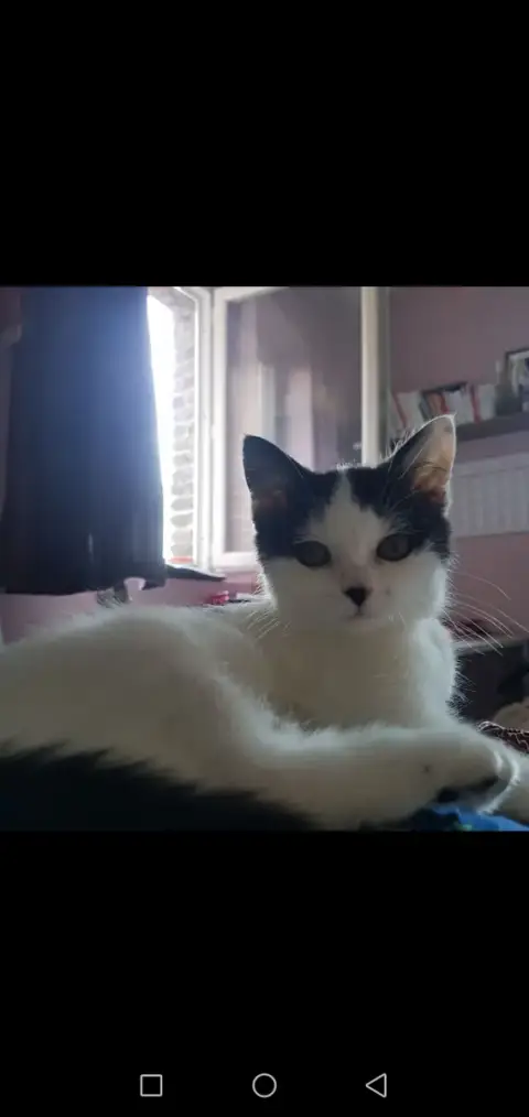 Miette