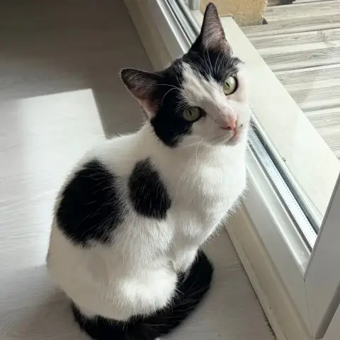 Lily