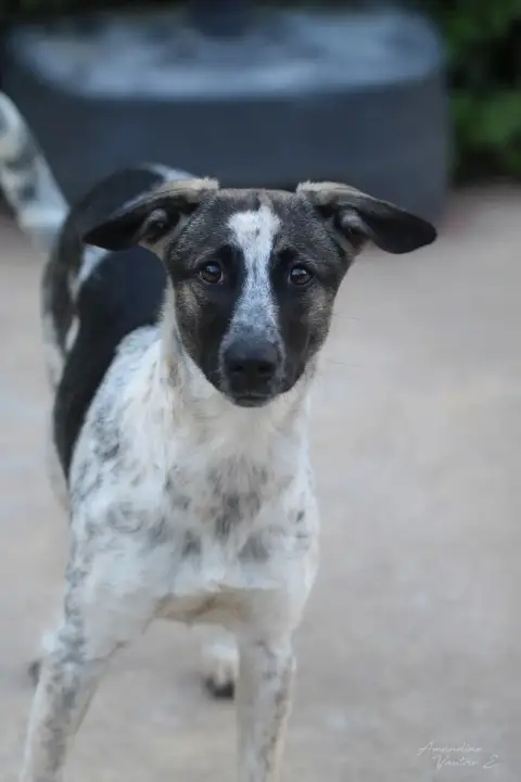 Kika photo 2
