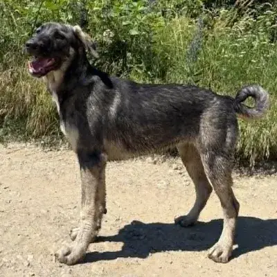 Sista photo 3