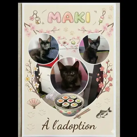Maki