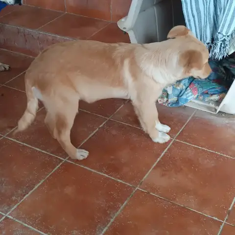 Lila photo 2