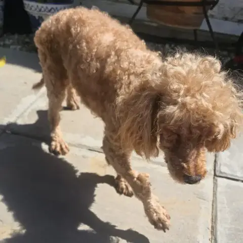 Bella photo 3