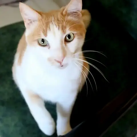 Carl photo 2
