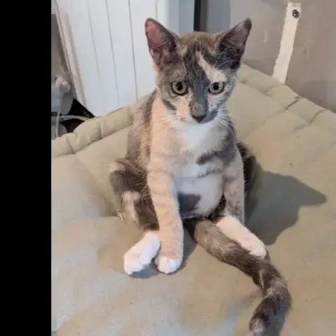 Babeth photo 2