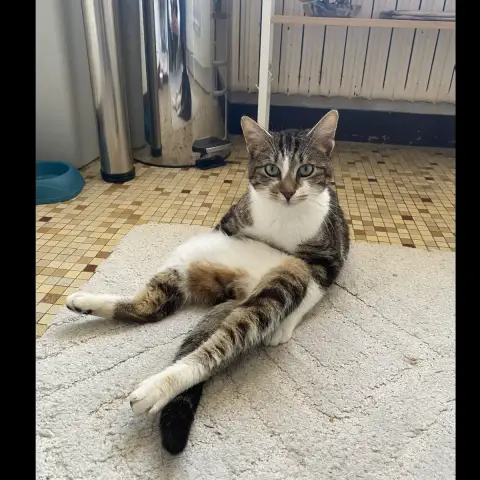 Bernard
