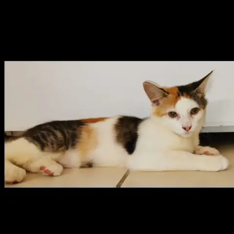 Mina photo 3