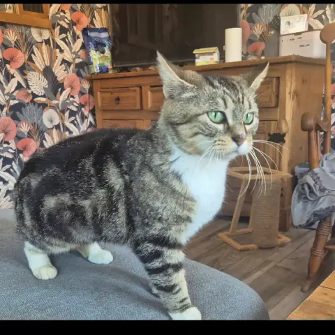 Bibi photo 2