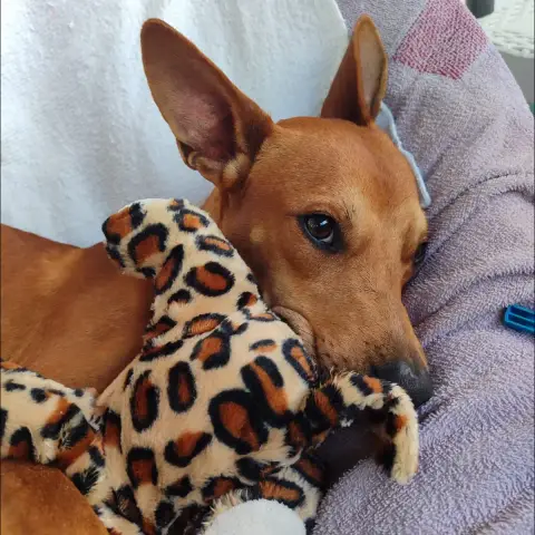 Só photo 2