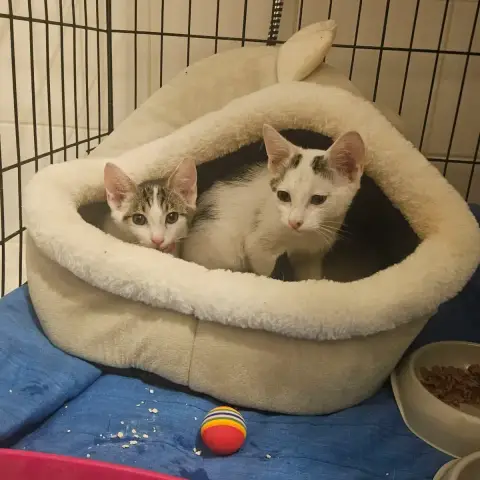 Mario Et Luigi photo 3