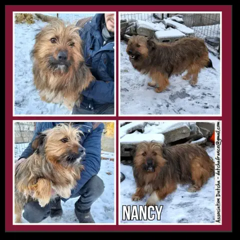 Nancy
